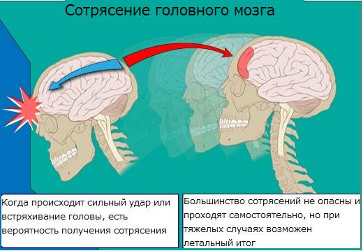 Общие сведения