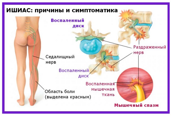 Общие сведения