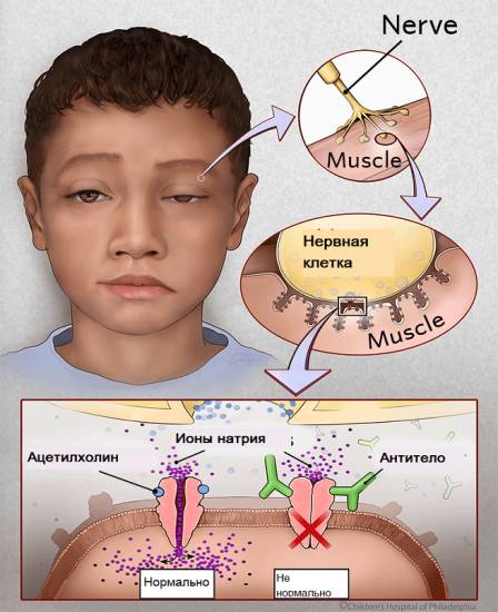 Процесс передачи импульса