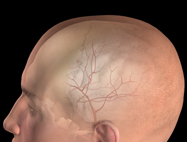 Менингеальная артерия