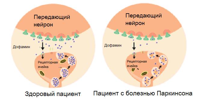 Клетки