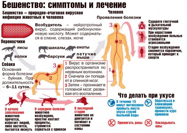 Интересные факты