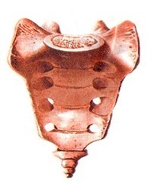 Перелом копчика. Симптомы, лечение и реабилитация 2 симптомы перелома копчика