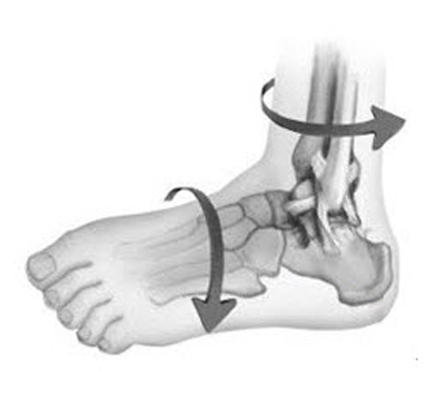 Возможные вывихи стопы Возможные вывихи стопы